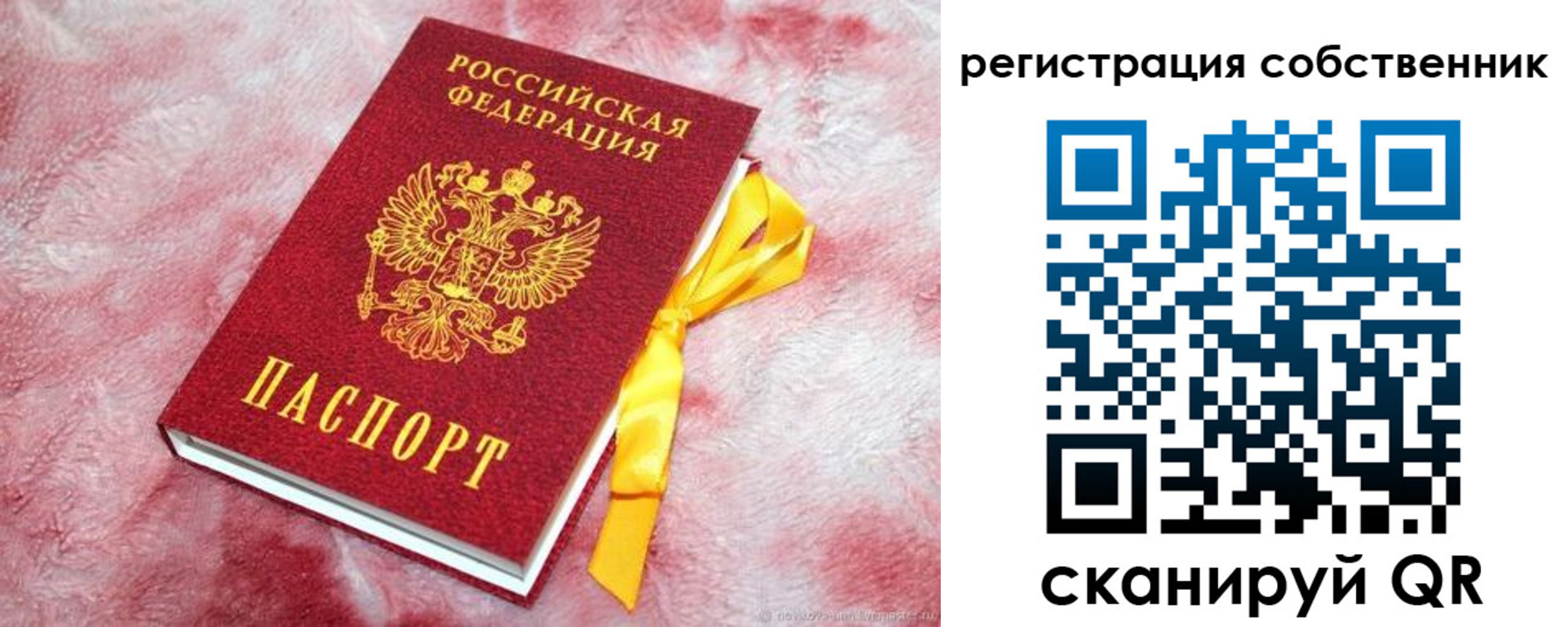 прописка в Туле